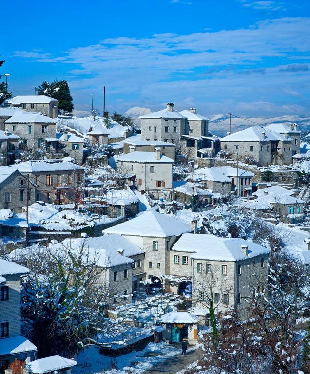 Zissis Hotel Aristi Bagian luar foto